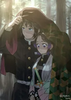 ⭐ Giyu Tomioka and Shinobu Kocho Demon Slayer anime, demon slayer, giyu tomioka, shinobu kocho, couple, rain whatsapp sticker