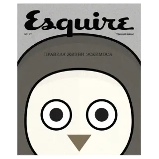 ⭐ Esquire rivista, Esquire, pinguino, grigio, copertina whatsapp sticker