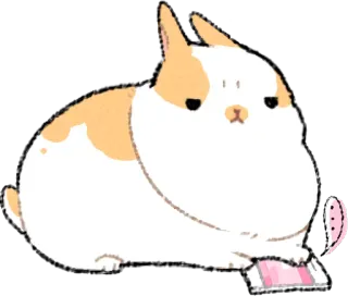 😒 Hase, Tier, süß, Kaninchen, Haustier, kawaii telegram sticker