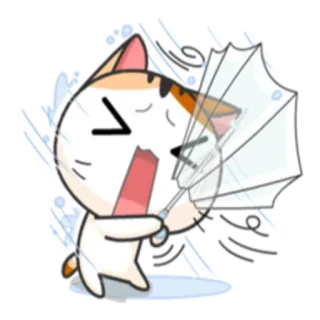 🌦 gato, guarda-chuva, chuva, clima, desenho animado, adesivo telegram sticker