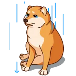 😭 dog, cheems, meme, doge, shiba inu whatsapp sticker