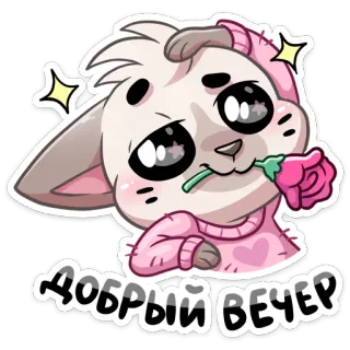Бисквит в свитере :: @stickroom whatsapp stickers