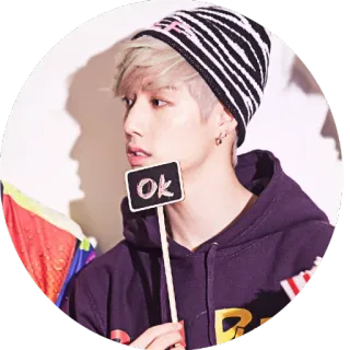 👌 ok ok, sinal, pessoa, gorro, kpop, fofo telegram sticker