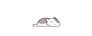 😴 gato, preguiçoso, sonolento, animal, fofo telegram sticker