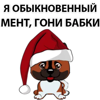 🐸 Я ОБЫКНОВЕННЫЙ МЕНТ, ГОНИ БАБКИ dog, santa hat, russian, text, cartoon telegram sticker