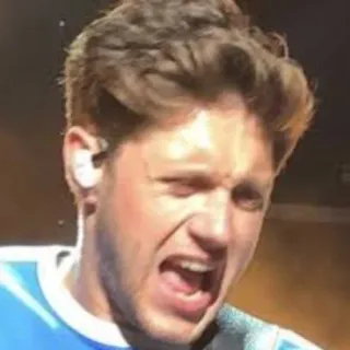 🤮 Niall Horan Niall Horan, singer, music, celebrity, one direction telegram sticker