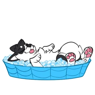 🧊 cão, cachorro, gelo, fofo, relaxante telegram sticker