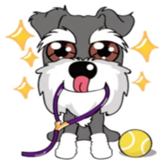 🎮 perro, schnauzer, mascota, animal, dibujos animados, pelota de tenis, correa telegram sticker