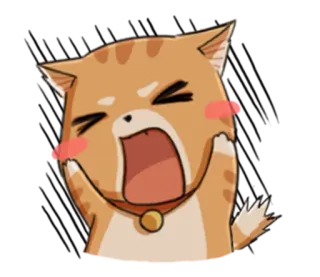 😩 Katze, süß, Tier, Aufkleber, Cartoon, Emoji, fröhlich telegram sticker