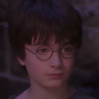🦁 Harry Potter harry potter, daniel radcliffe, mago, magia, película, personaje, niño whatsapp sticker