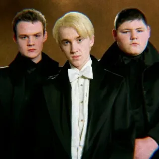 🐍 Draco Malfoy Harry Potter Draco Malfoy, Tom Felton, Harry Potter, Slytherin, Charakter, Zauberer, Schüler whatsapp sticker