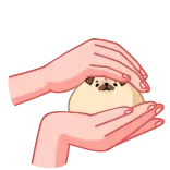 ☺️ собака, мопс, милый, животное, руки, питомец telegram sticker