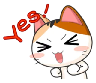 ✊ yes! chat, oui, mignon, animal, joyeux, positif whatsapp sticker