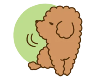 😒 cachorro, poodle, animal, fofo, animal de estimação, desenho animado whatsapp sticker