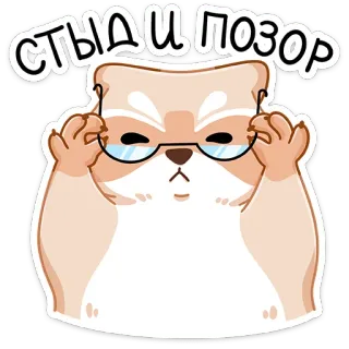 😠 СТЫД И ПОЗОР แมว, แว่นตา, ไม่เห็นด้วย, รัสเซีย, ความอัปยศ, ความอัปยศอดสู whatsapp sticker
