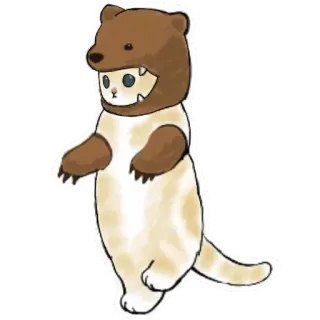 🐻 gato, animal, gorro de oso, disfraz, lindo, ilustración whatsapp sticker