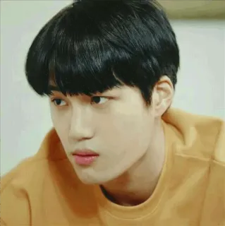 🍂 koreański, azjatycki, męski, portret, twarz whatsapp sticker