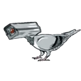 🦅