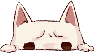 😒 cat, animal, peeking, cute, pet, kawaii whatsapp sticker