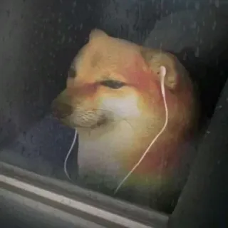 🙂 Doge Doge, Meme, Hond, Dier, Koptelefoon telegram sticker