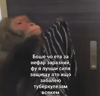 🌟 Боше чо ета за
нефар заразний,
фу я лучши сипя
защищу ато ищо
забалею
туберкулезам
всякем monkey, meme, funny, text, russian whatsapp sticker
