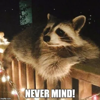 🙄 NEVER MIND! mapache, no importa, animal, divertido, meme whatsapp sticker