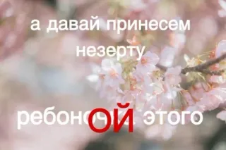 🌟 а давай принесем
незерту
ребоной этого whatsapp sticker