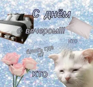 😕 С днем
с вечером!!!
бл ть где я? cat, flowers, bedroom, meme telegram sticker