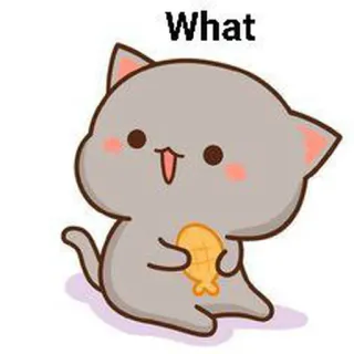 😂 What cat, cute, animal, sticker, cartoon, peach, fish whatsapp sticker