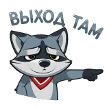 😠 DLiYAA TAM raton laveur, dessin animé, autocollant, animal, gris, pointant telegram sticker