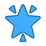 🌟