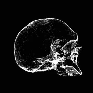 💀 череп, анатомия, скелет, смерть, кости, рентген telegram sticker
