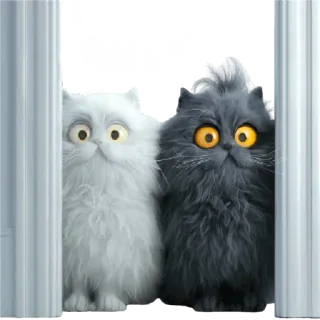 😳 จะเฝ้า кот, коты, милый, животные, домашнее животное, домашнее животное, котята telegram sticker