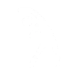 🤸‍♂️