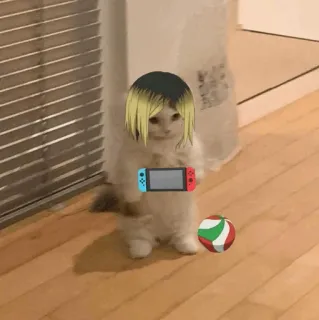 🐈 Kozume Kenma Haikyuu!! gato, Haikyuu!!, anime, Kozume Kenma, video game, vôlei telegram sticker