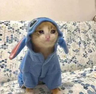 😩 gato, triste, Stitch, Disney, lindo telegram sticker