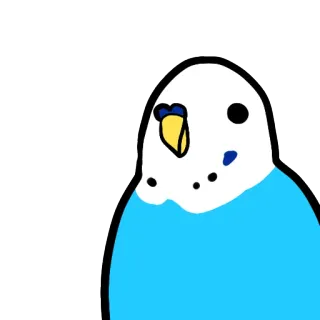 🌘 burung, parkit, hewan, lucu, peliharaan, biru telegram sticker