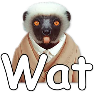 😟 Wat lémurien, wat, animal, drôle, mème, autocollant telegram sticker