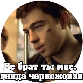 🤬 Не брат ты мне, гнида черножопая russisch, beleidigend, rassistisch, gewalt telegram sticker