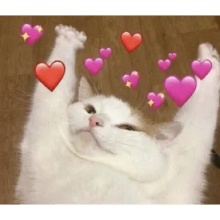 ❤️ cat, heart, love, cute, animal, affection, pet telegram sticker