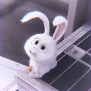 🥺 Snowball The Secret Life of Pets bunny, rabbit, cute, pet, cartoon, animal whatsapp sticker