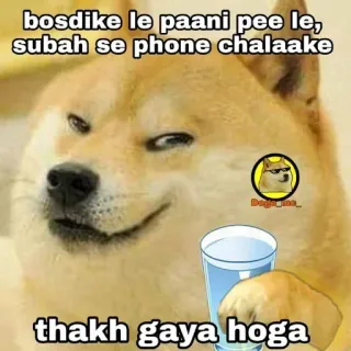 🌚 bosdike le paani pee le, subah se phone chalaake thakh gaya hoga Doge, Meme, Woda, Telefon, Zmęczony, Obraźliwe whatsapp sticker