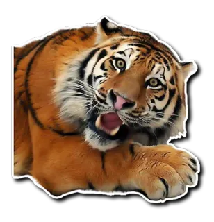 😐 tigre, animal, fauna, mamífero, depredador, felino, carnívoro whatsapp sticker