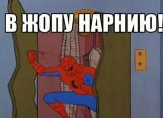 Spider poxuy by @hey_im_okay telegram stickers