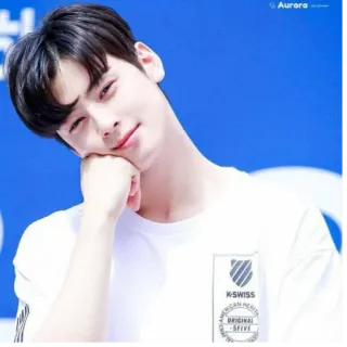 🙂 kpop, astro, chaeunwoo, kswiss, acteur, idole whatsapp sticker