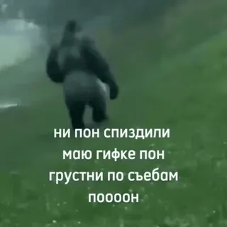 😩 ни пон спиздили
маю гифке пон
грустни по съебам
пооооон gorilla, meme, sad, animal, russian, text, video telegram sticker