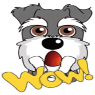 😮 Wow! perro, Schnauzer, lindo, animal, dibujo animado, sorpresa, expresión telegram sticker