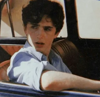 😒 Timothée Chalamet actor, portrait, celebrity, timothee chalamet, young telegram sticker