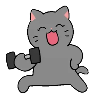 ❤️ chat, exercice, entraînement, haltère, fitness, dessin animé, animal telegram sticker