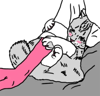 🥺 Katze, Tier, Haustier, spielerisch, Cartoon telegram sticker